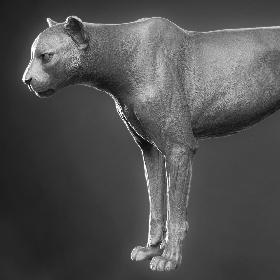 3D Cheetah